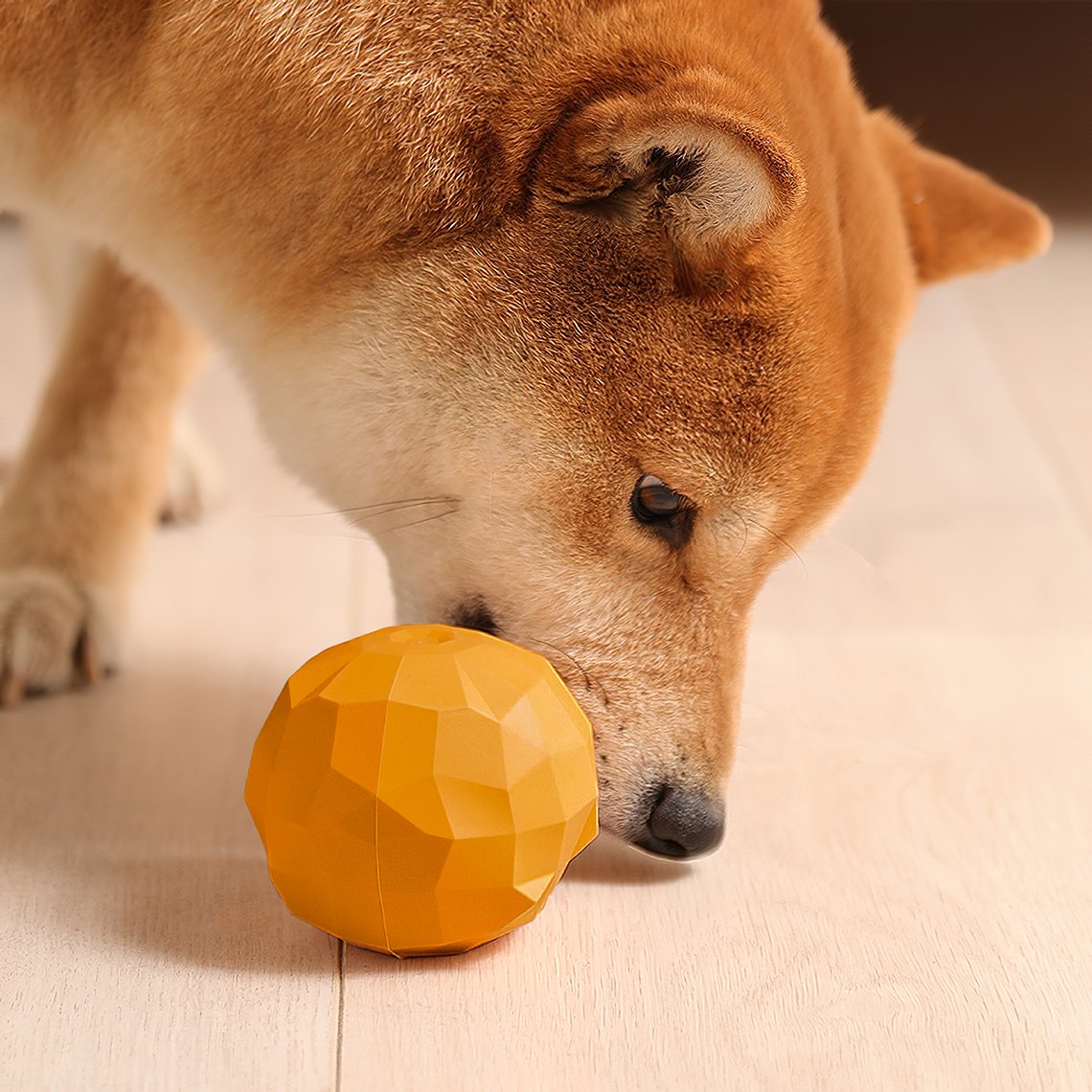 Teething Rubber Water-filled Frozen Fruit Shape Dog Toy