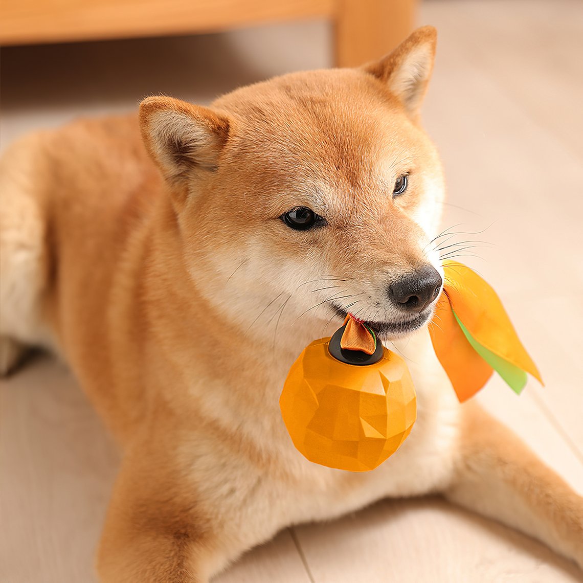 https://cdn.shopify.com/s/files/1/0549/1638/2879/products/fruit-shaped-squeaky-chew-toy-funnyfuzzy-726190.jpg?v=1701153238&width=1140