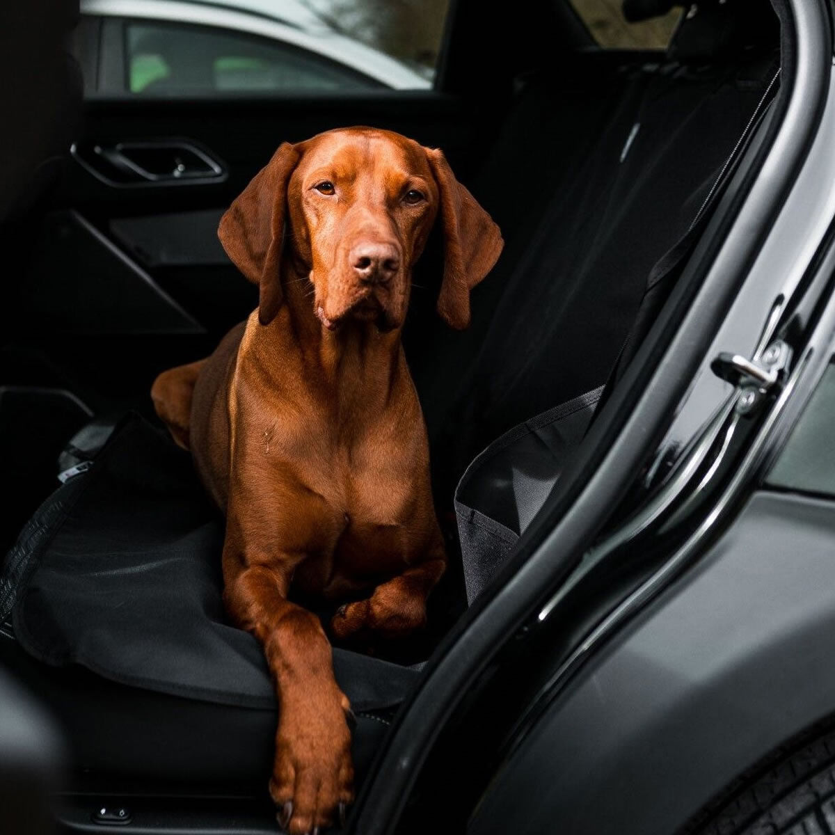 Image of Danish Design Dog Car Seat Covers - Blue - 140 x 115cm