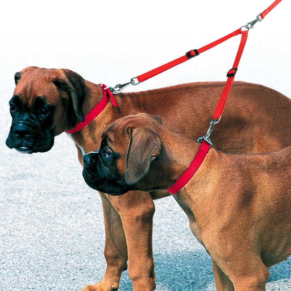 Image of Twin Double Nylon Dog Lead - Red - Medium 15mm