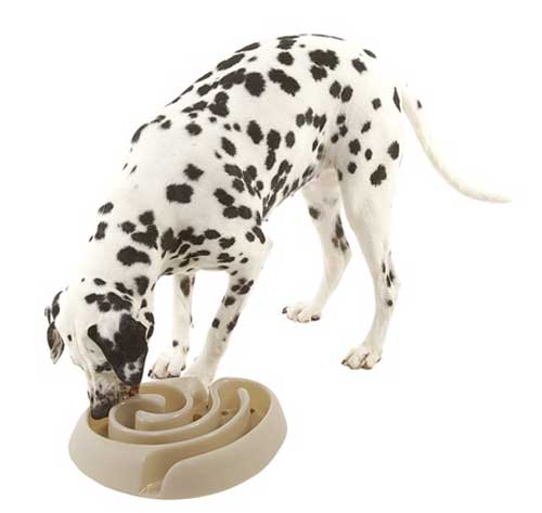 Image of Kruuse Buster Dog Maze Feeding Bowl - Lime Green