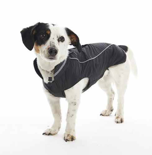 Image of Buster Waterproof Dog Rain Coat - Grey/Plum - Size X Large