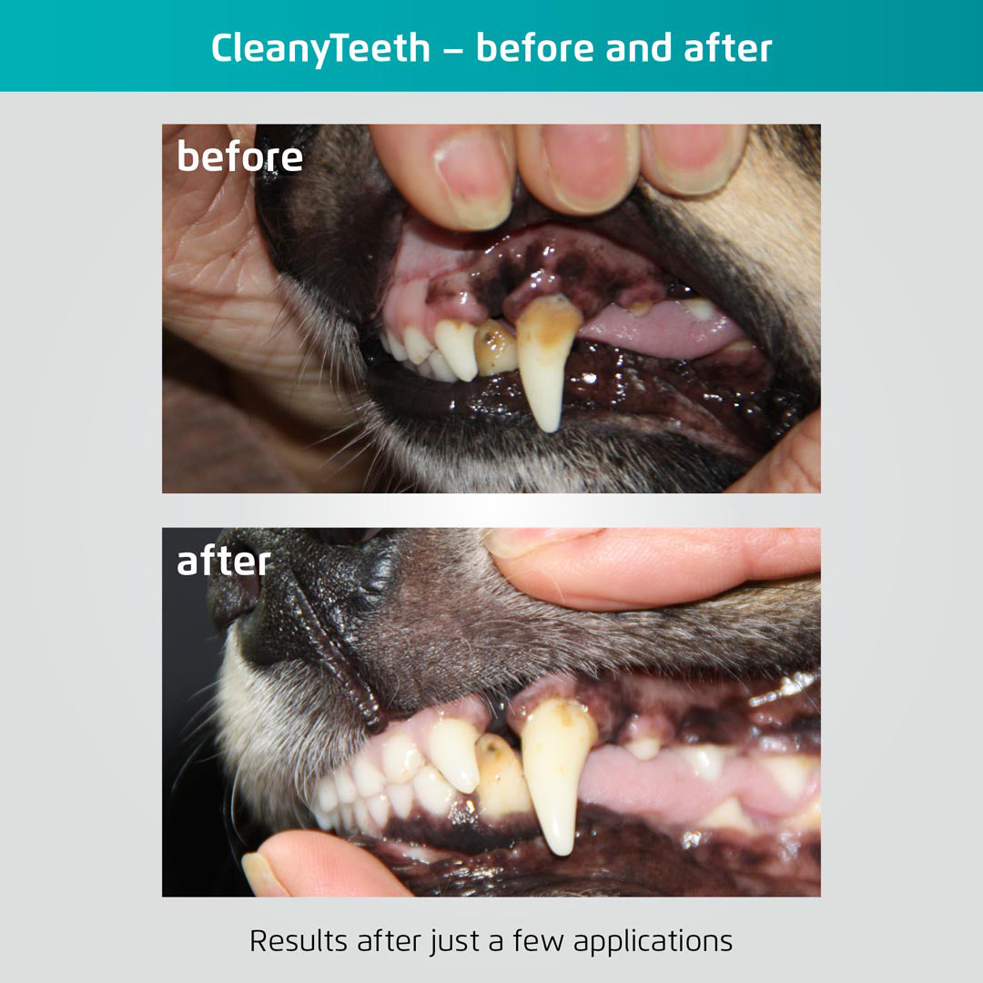 Image of Cleany Teeth Dog Ultrasound Toothpaste
