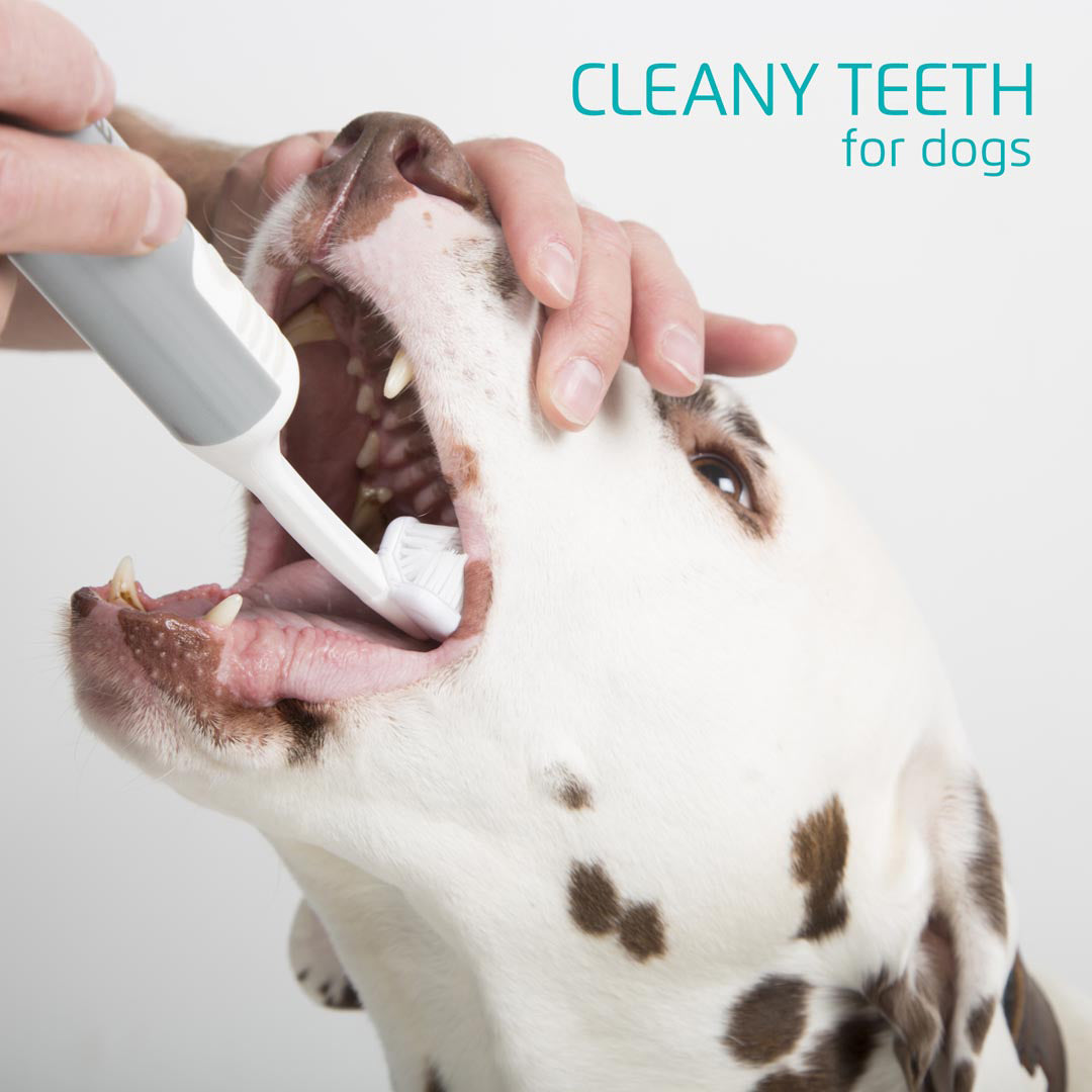 Image of Cleany Teeth Dog Starter Kit - Includes 3-Sided Brush Head & 2 Single Brush Heads