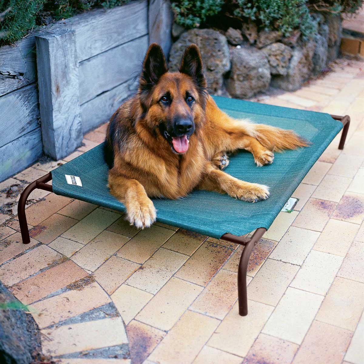 Image of Coolaroo Raised Dog Beds - Green - Size Extra Large