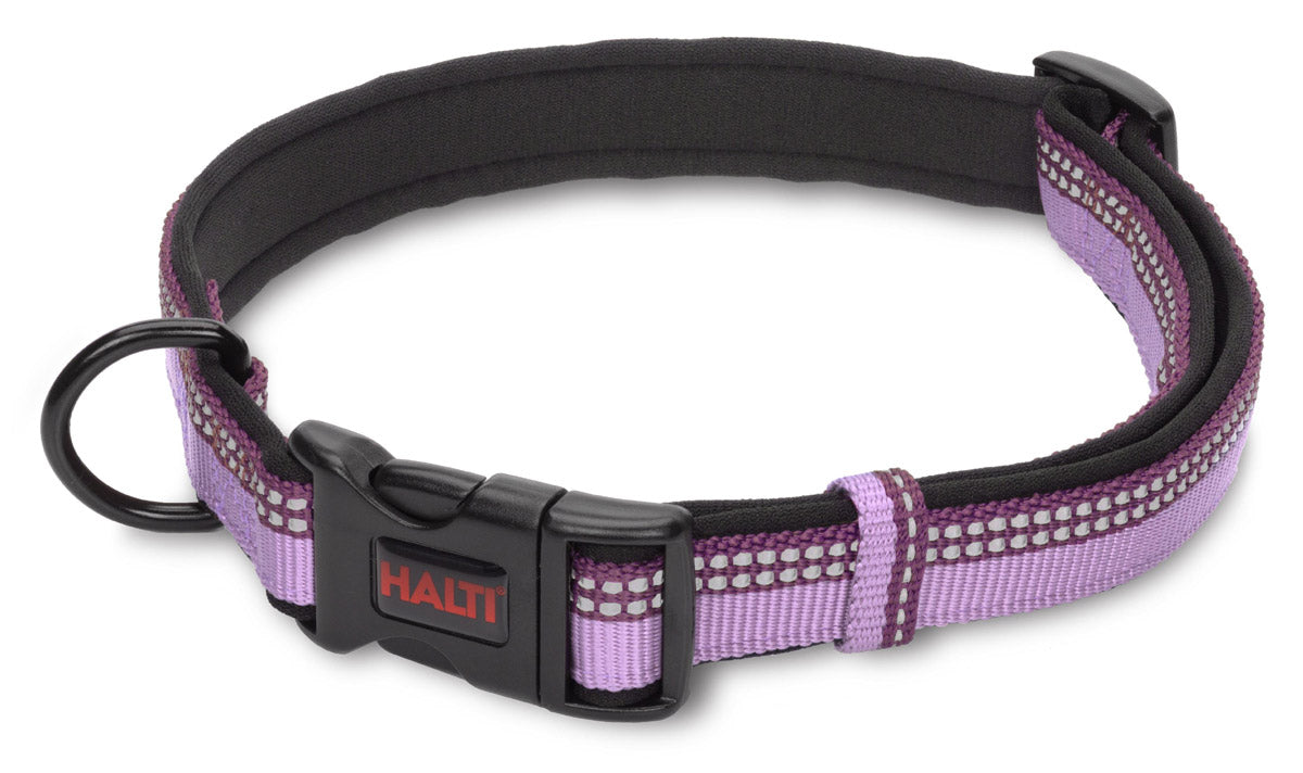 Image of Halti Reflective Dog Collars - Purple - Size X Small