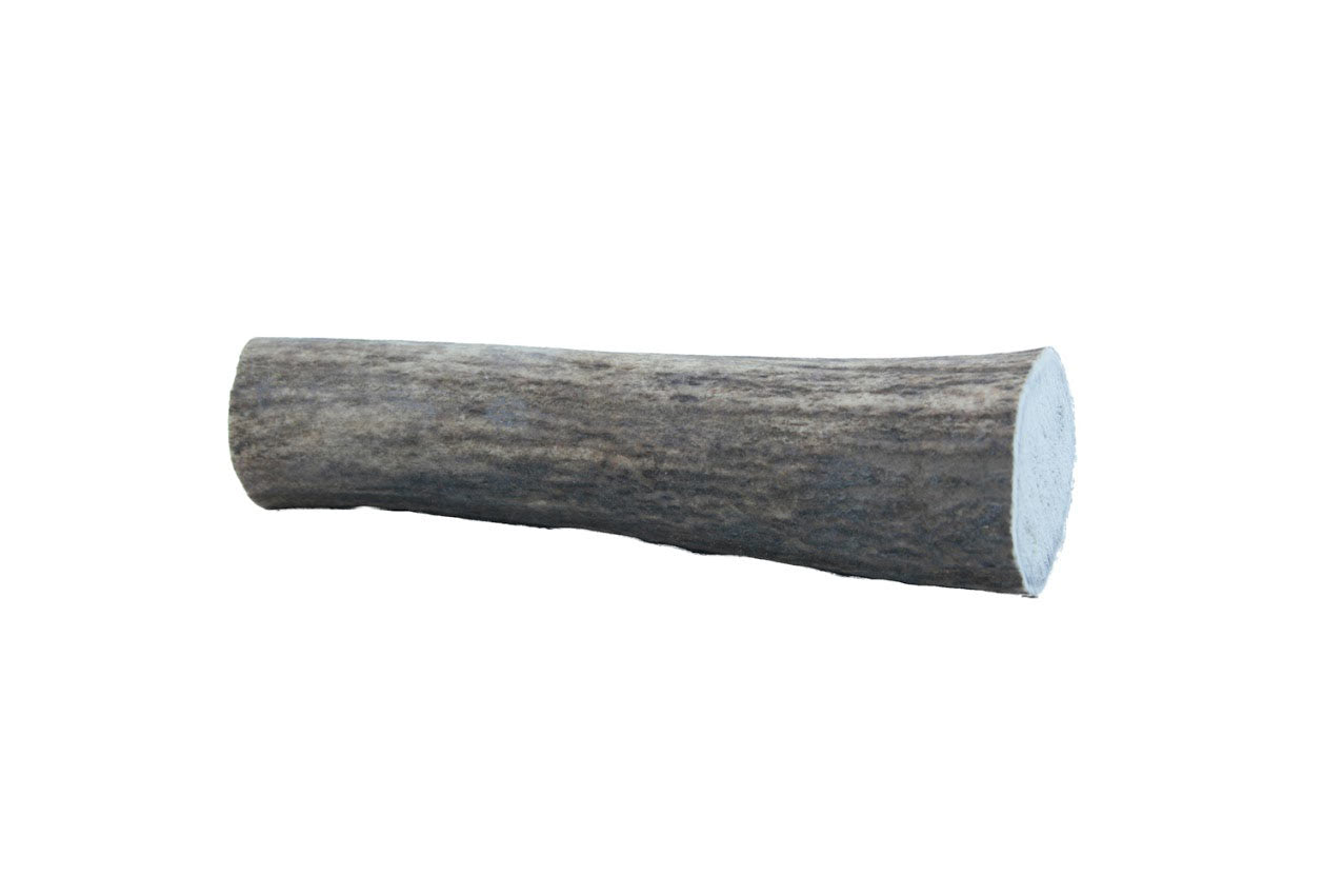 Image of Natural Half Antler Dog Chew - Medium 51-80g - Doggie Solutions