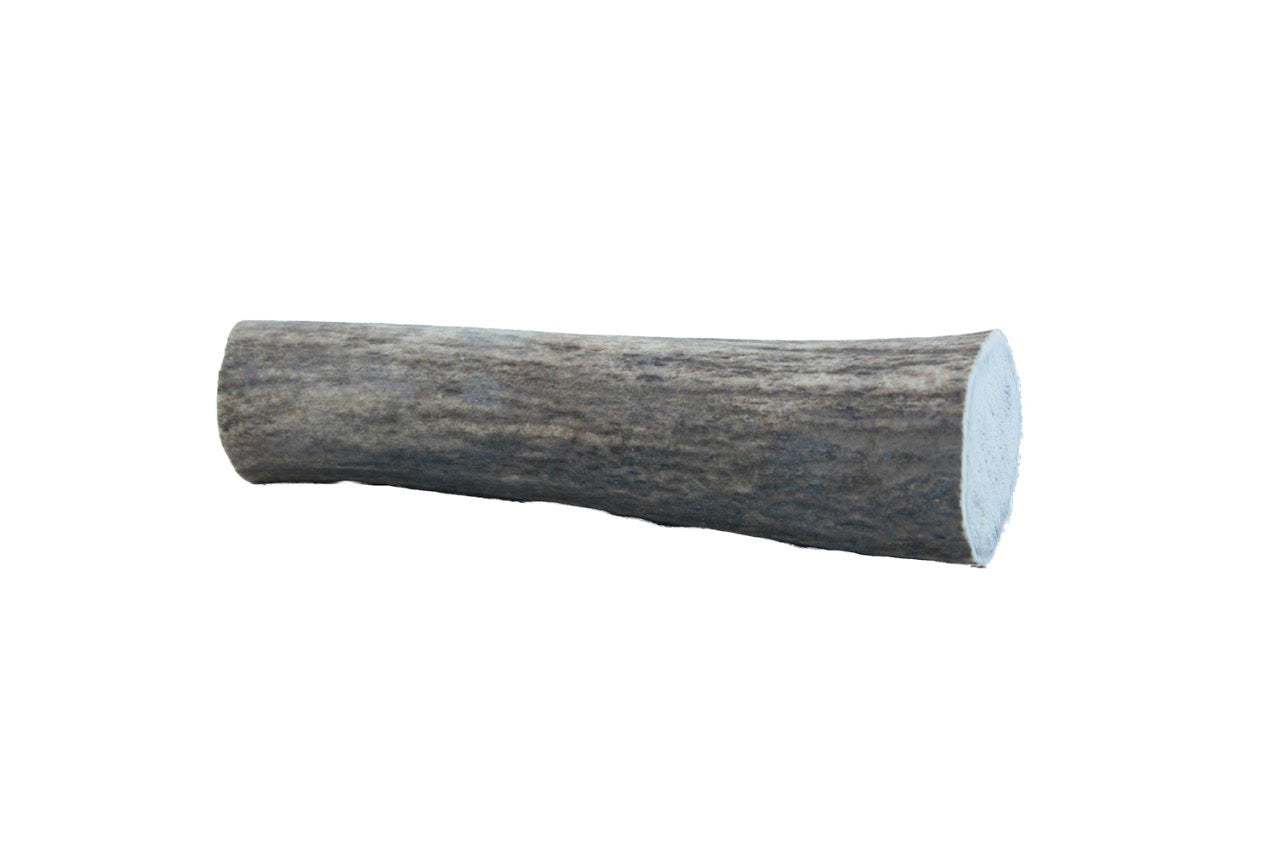 Image of Natural Half Antler Dog Chew - X Large 121-160g - Doggie Solutions