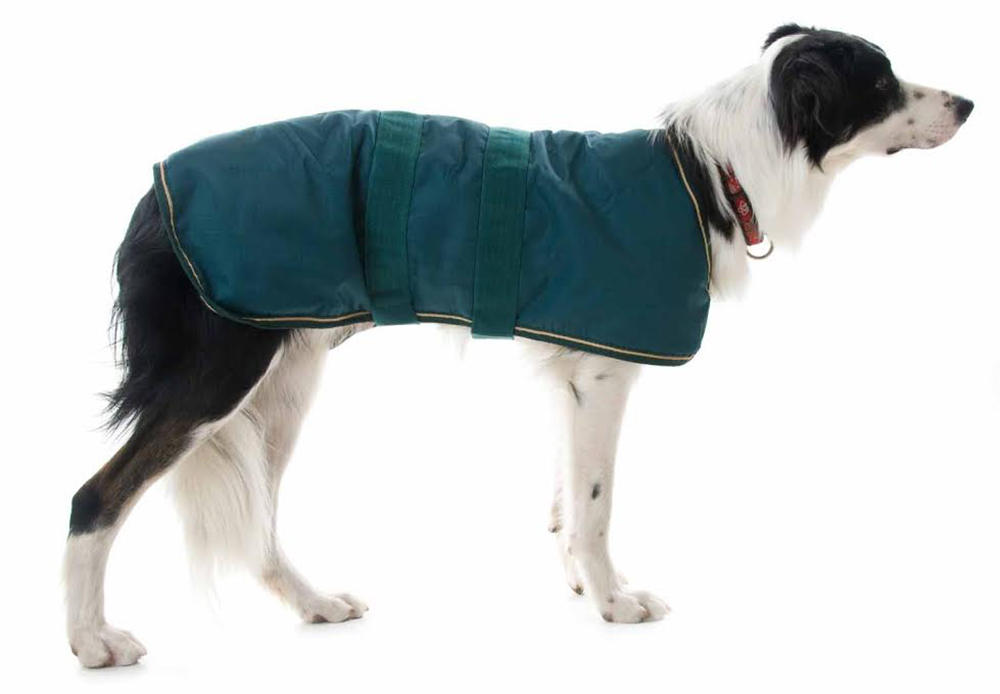 Image of Luxury Waterproof Dog Coat With Fur Lining - Sky Blue - 30 Inch