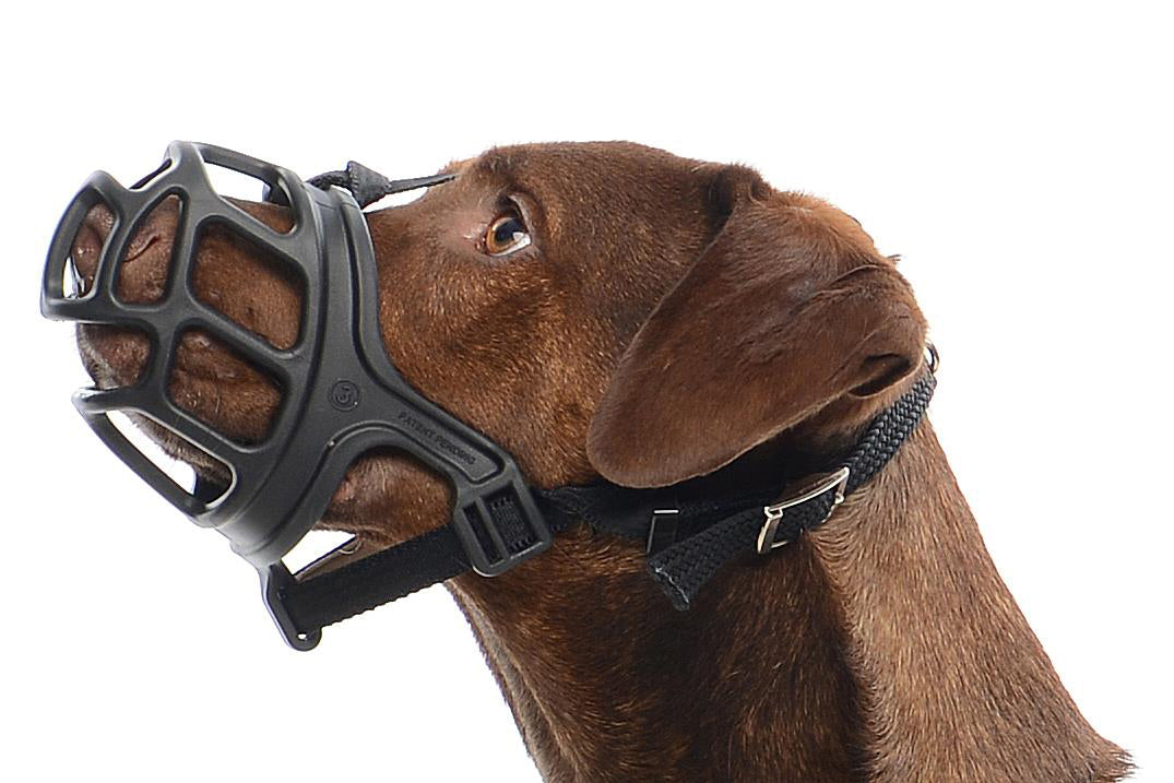 Image of Buster Extreme Dog Muzzles - Black - Size 1 Suitable For Border Terrier, Jack Russell