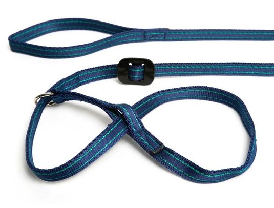 Image of Gencon All-In-1 Dog Headcollar With Clip To Collar - Blue/White