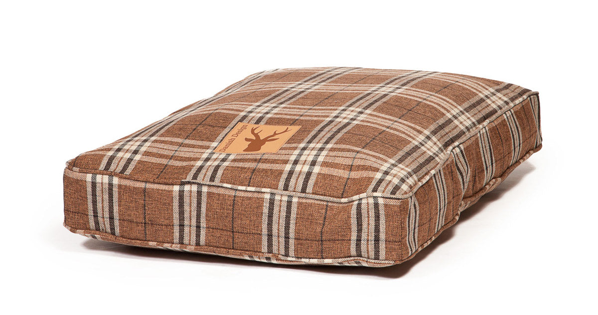 Image of Danish Design Newton Truffle Box Dog Duvets - Brown/Cream - Size Large