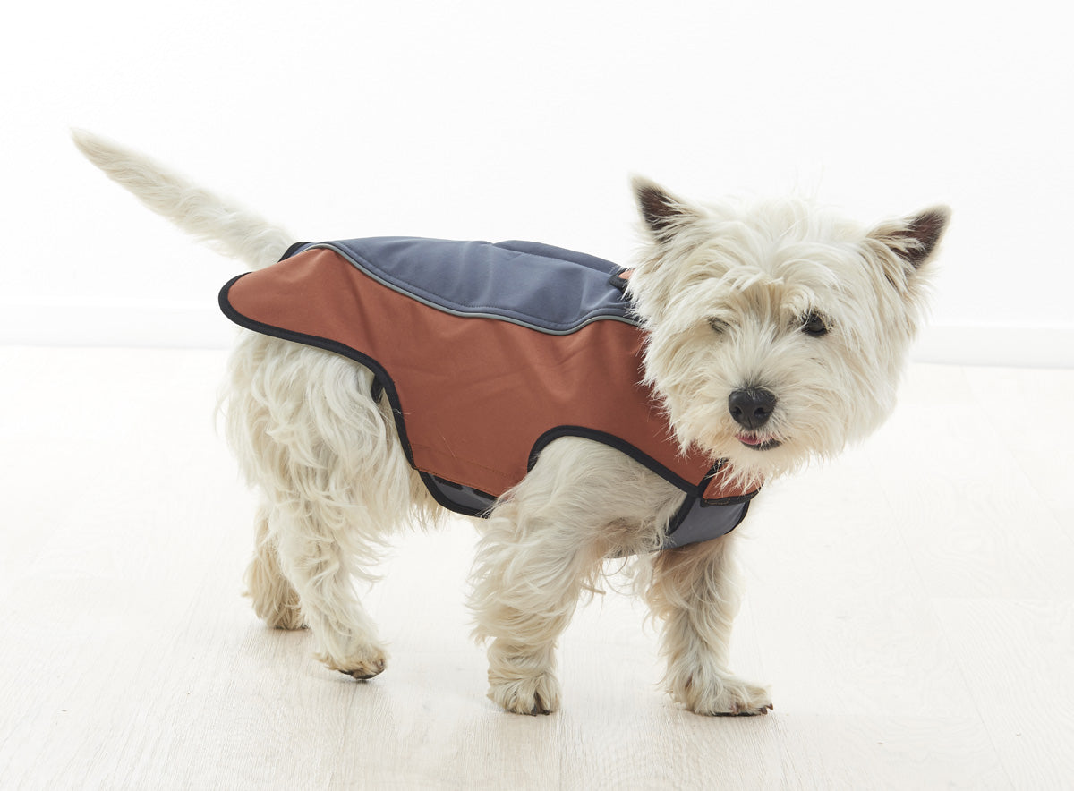 Image of Buster Softshell Outdoor Wear Jackets - Hot Chocolate - Size X Small