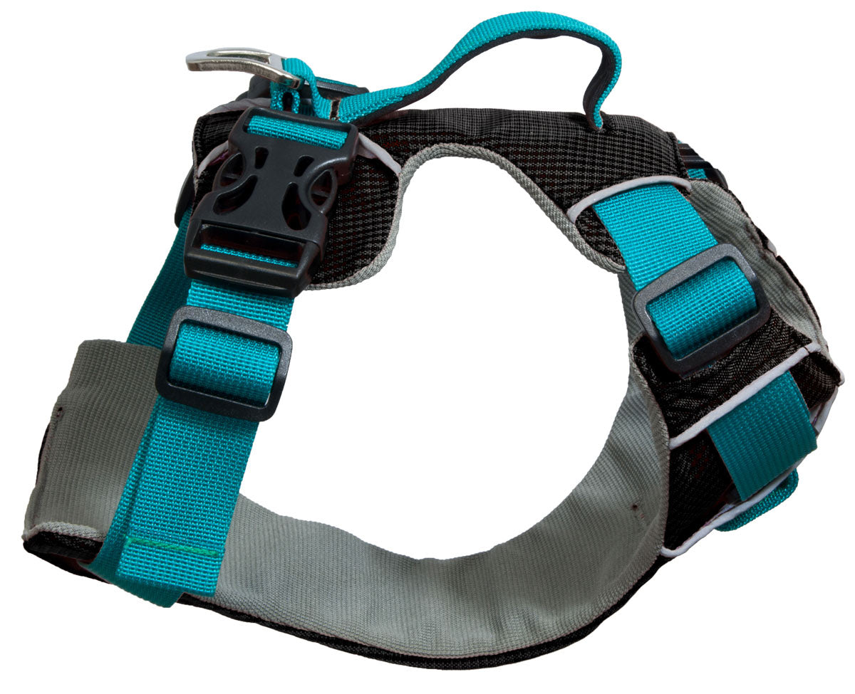 Image of Sotnos Dog Travel Safety Harness - Teal - Size Large