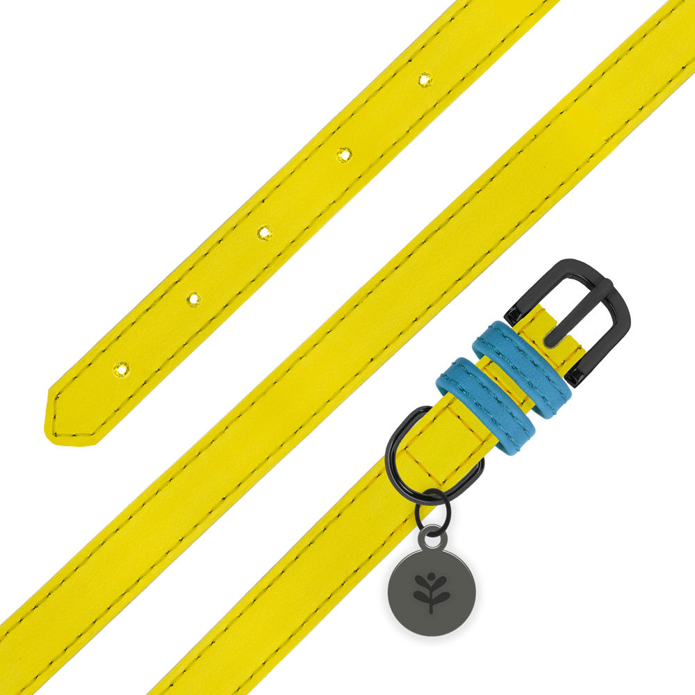 Image of Sotnos Yellow & Blue Bold Bright Dog Collar - Small