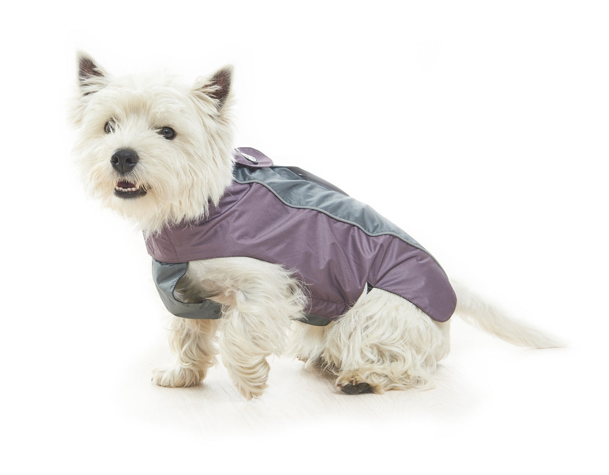 Image of Buster Waterproof Dog Rain Coat - Grey/Artichoke Green - Size X Large