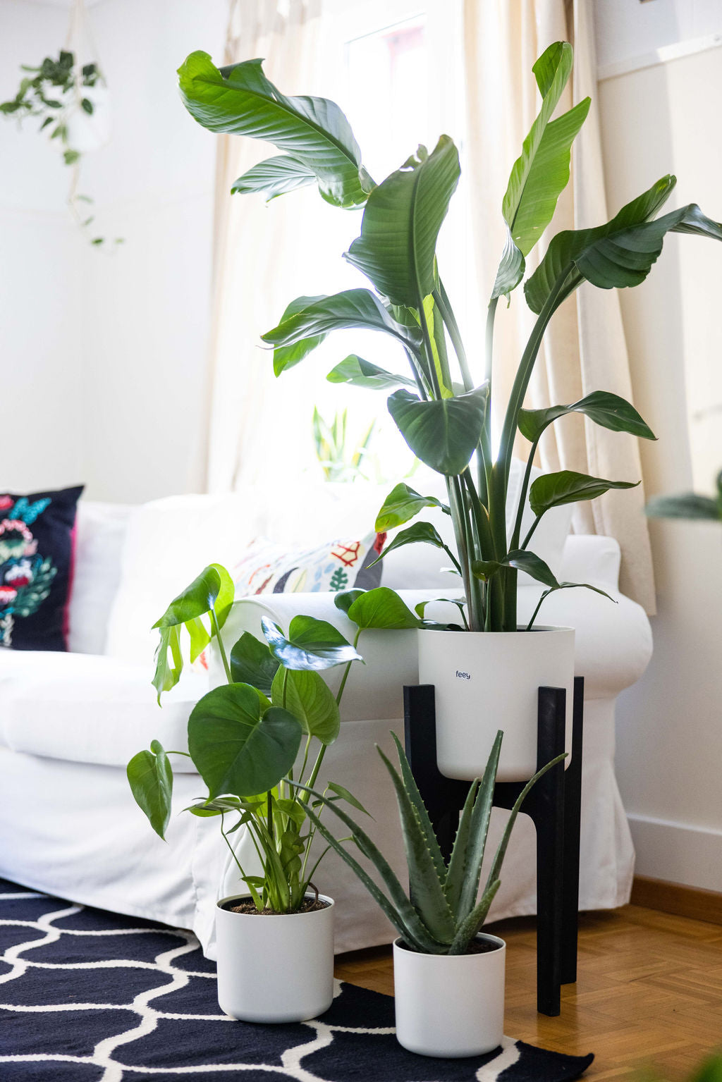 Inspiration Fur Dein Schones Wohnzimmer Mit Pflanzen