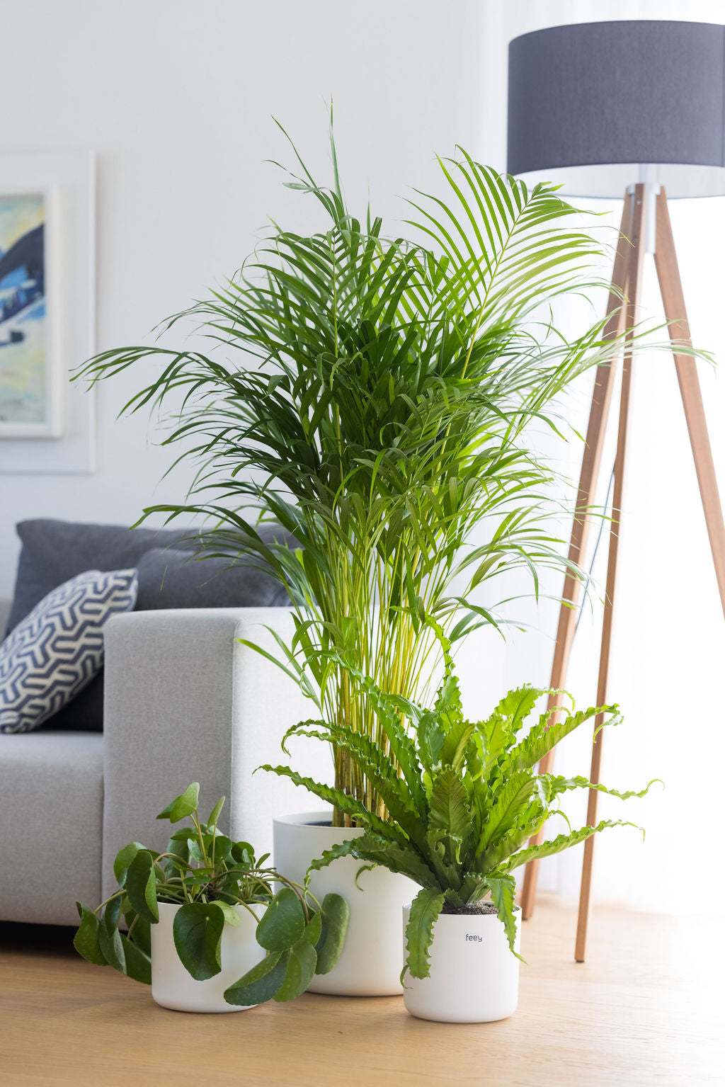 inspiration für dein schönes wohnzimmer mit pflanzen