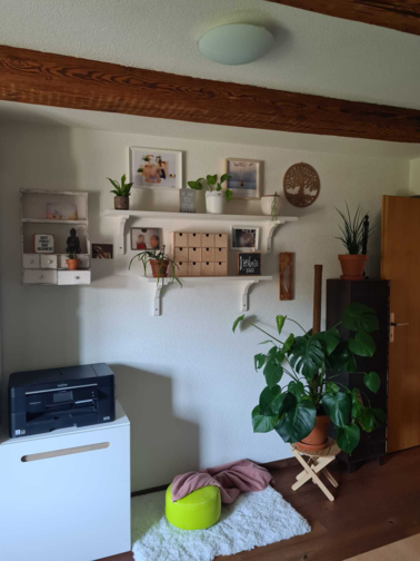 Büro mit weissem Wandregal und kleinen Pflanzen, darunter eine grosse Monstera auf einem Holzständer, ein Teppich und eine Hundedecke