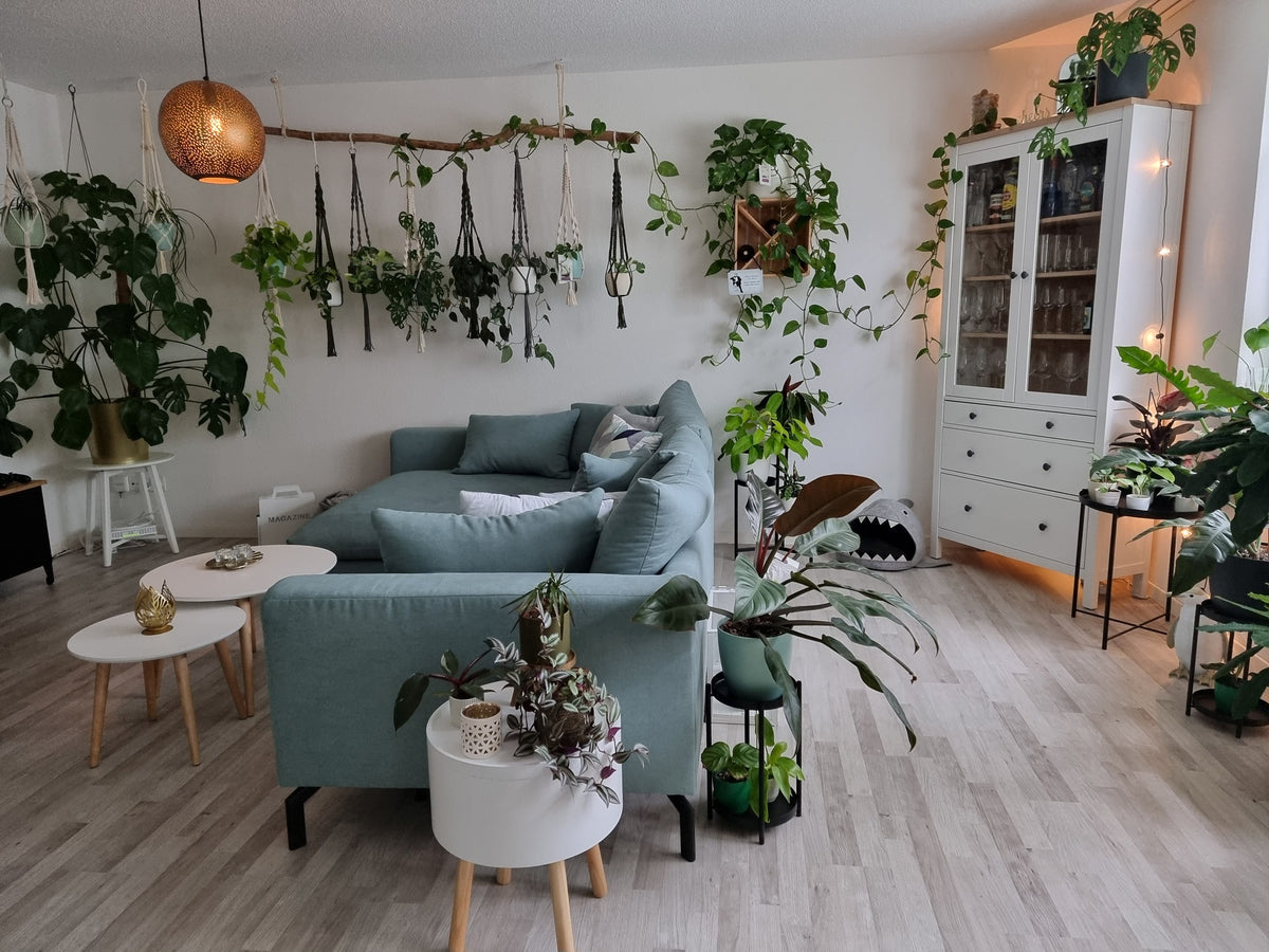 Inspiration für dein schönes Wohnzimmer mit Pflanzen ...