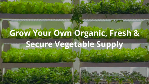 grow your own organic, fresh & secure vegetable supply with our hydroponics grow systems for home, office, cafe and indoors