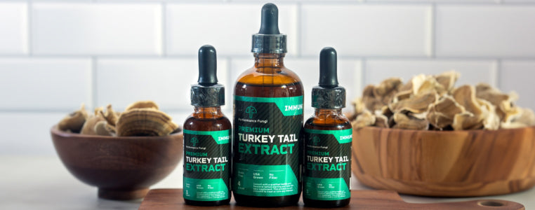 Performance Fungi's Turkey Tail Mushroom Supplement