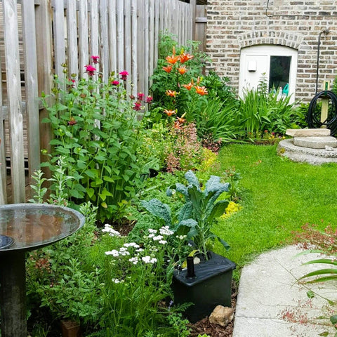 An apartment building backyard garden created by 2xEDGE creator Lisa Brooks