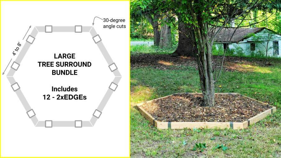 Photo and diagram showing a 2xEDGE hexagon tree surround