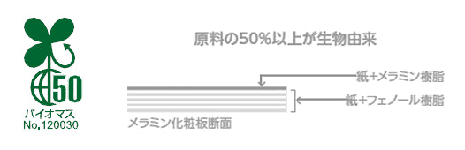 アイカメラミンはバイオマス認定