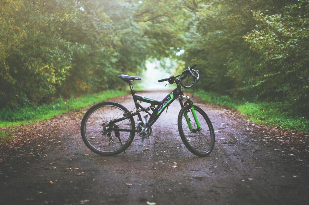 自然の風景と自転車