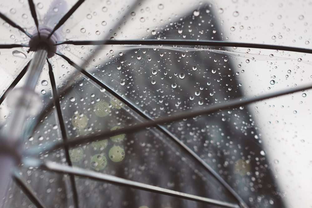 透明な傘の上に雨の水滴がついている写真