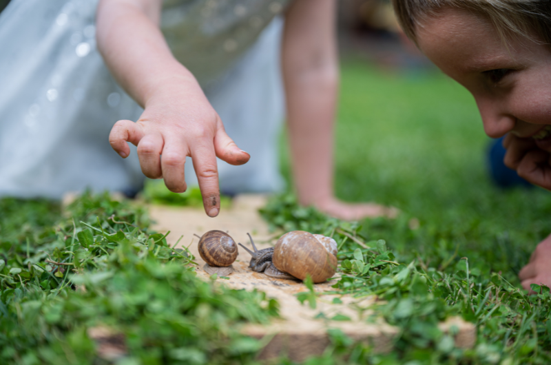 close-up of two snails on the ground with a boy looking at them and a girl pointing down at them