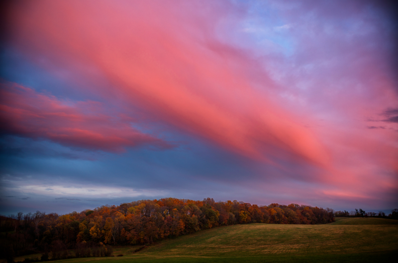 photo of a bright blue and pink sky above fall trees