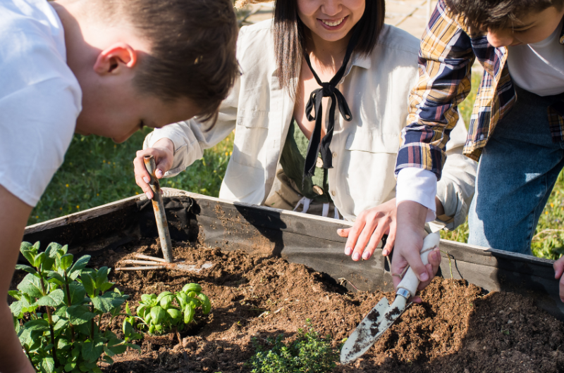 close-up photo of a women and a young boy and girl planting a raised garden together