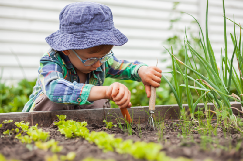 little boy using garden tools in a raised garden box with plants growing