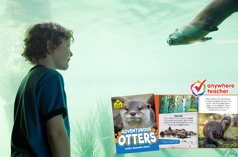 boy looking through the window of a zoo enclosure at an otter with an insert of a Adventurous Otters nonfiction book from Anywhere Teacher displayed in the right bottom corner of the photo
