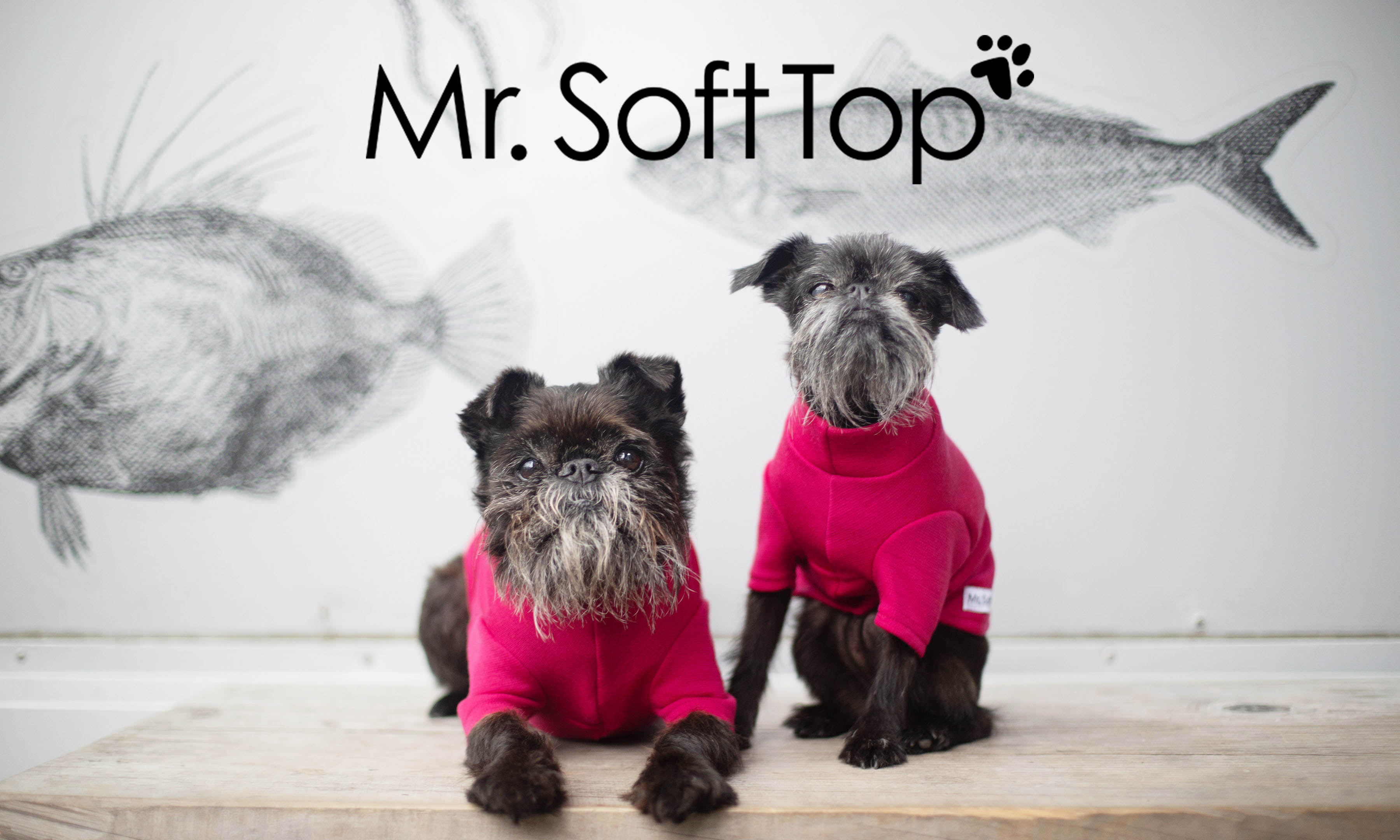 Mr Soft Top Dogwear