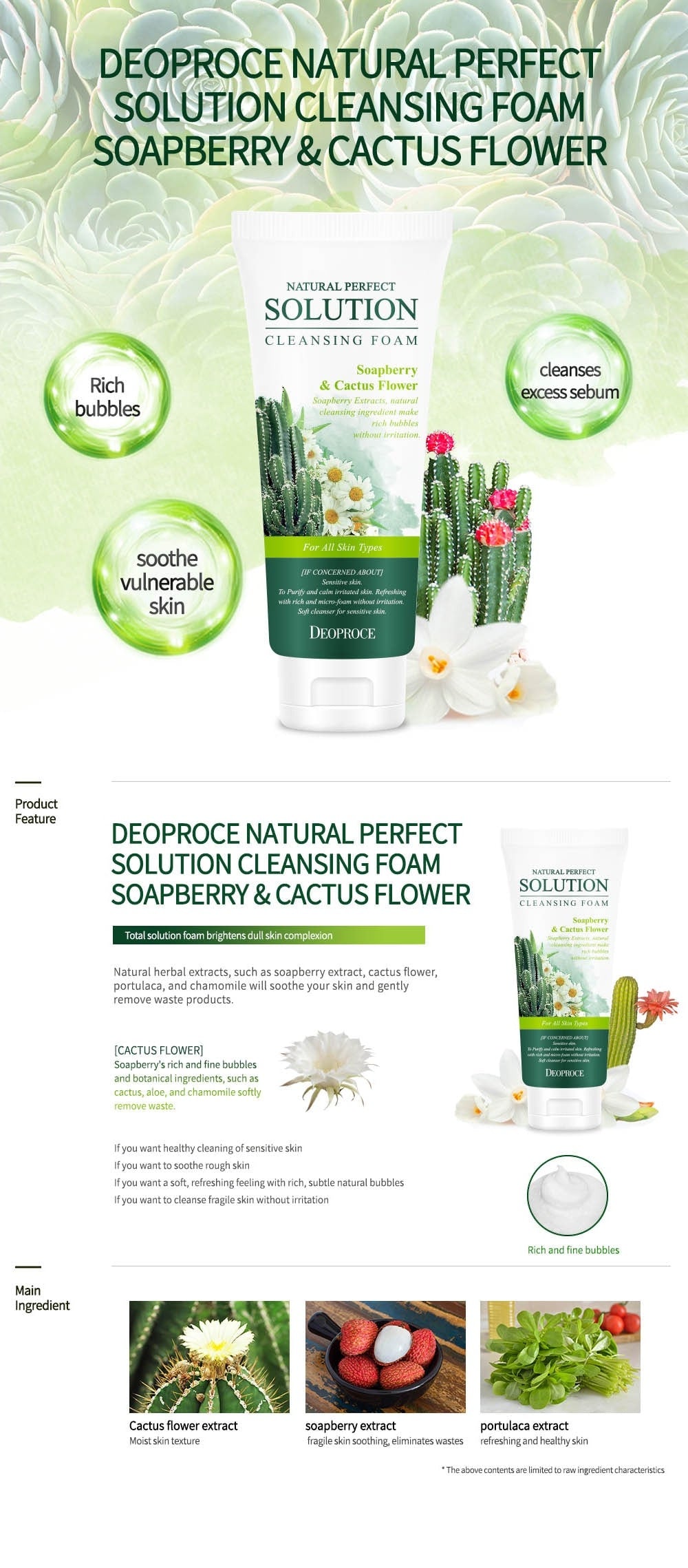 Deoproce Natural Perfect Solution Cleansing Foam Soapberry Cactus Flower 170g