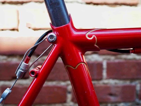 Picenti Lugs Pinstriped Frame 