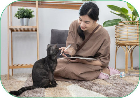 A woman feeds cat vitamins to her cat