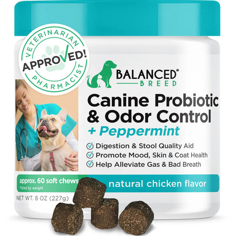 balanced breed probiotic and odor control calms a dog's digestive system