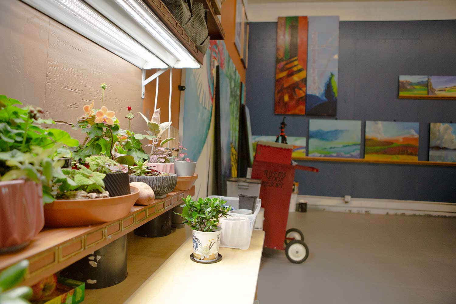 Donna's art studio ~ plants and art!