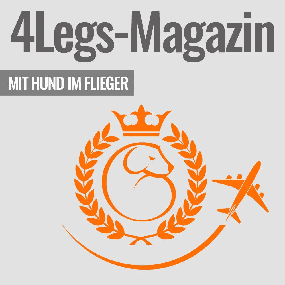 Du willst mit Deinem Hund in den Urlaub fliegen? 4legs.de