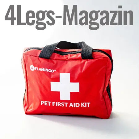 Reisen mit dem Hund? Reiseapotheke nicht vergessen! 4legs.de