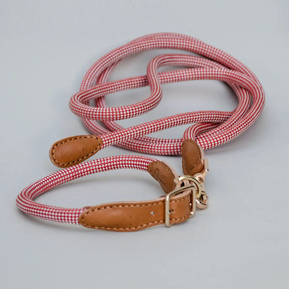 Das robuste Halsband "Mountain" - rot 4legs.de