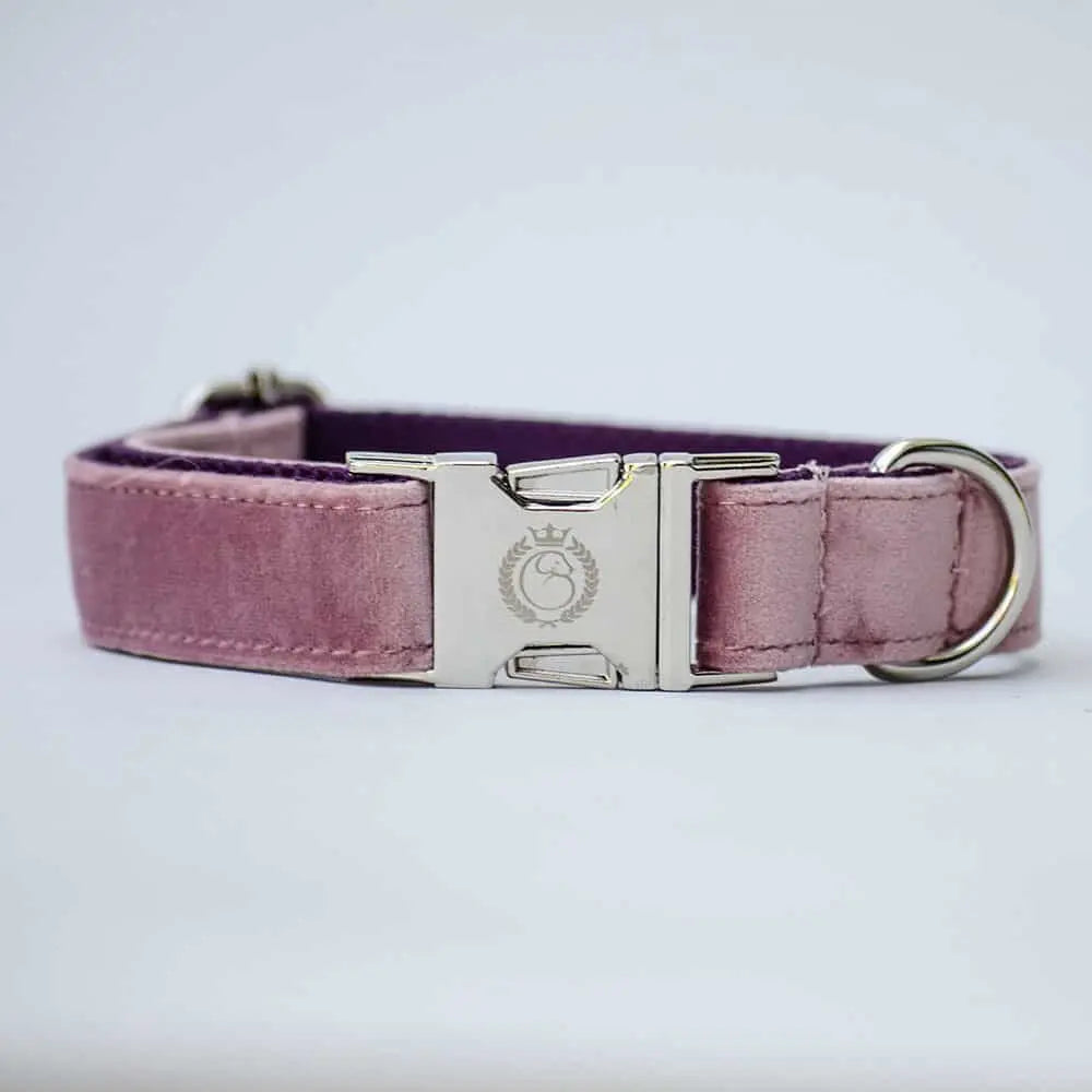 Das zarte Hundehalsband „Color Up“ - Powder 4legs.de