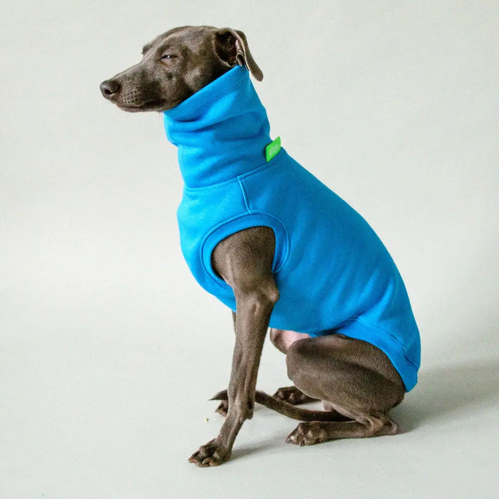 Dogsweater "COZY" - blue 4legs.de