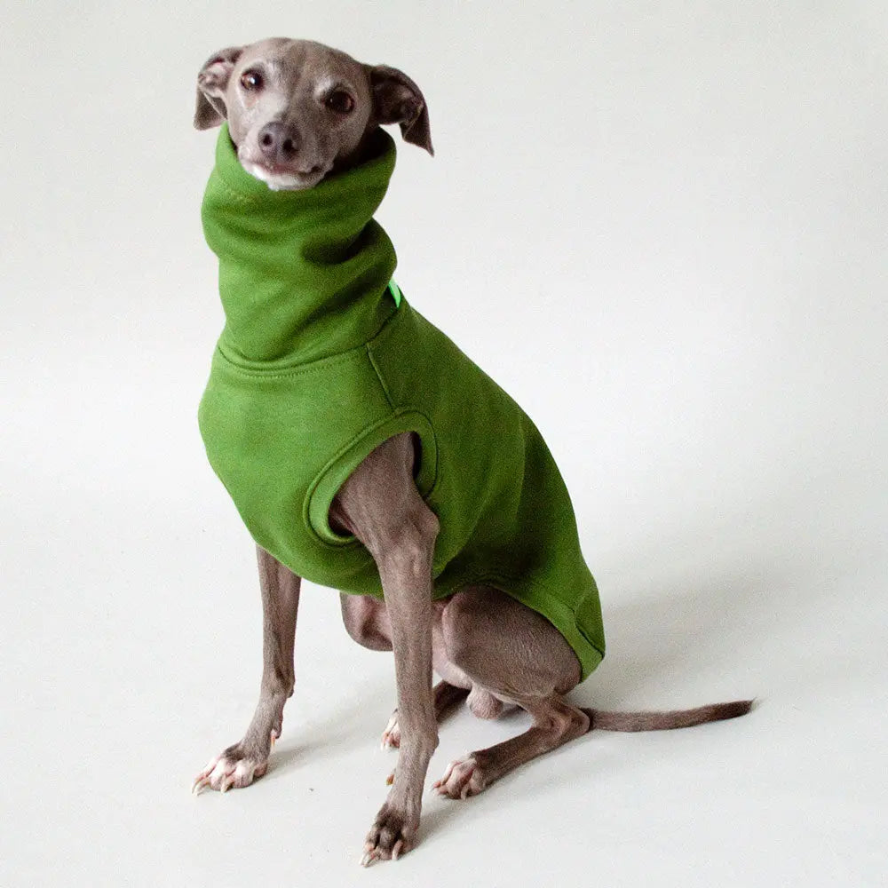 Dogsweater "COZY" - dark green 4legs.de