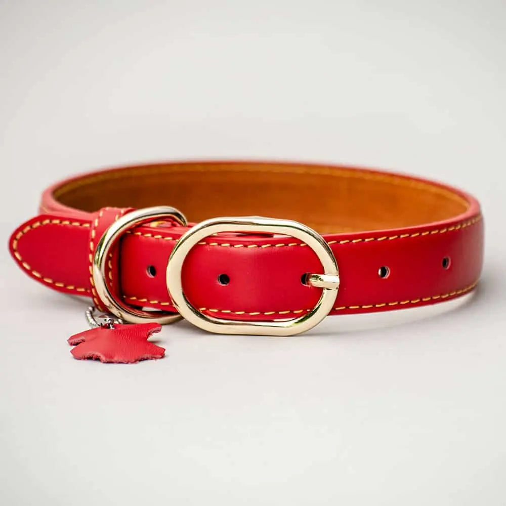 Feines Lederhalsband "Summer" - ROT 4legs.de