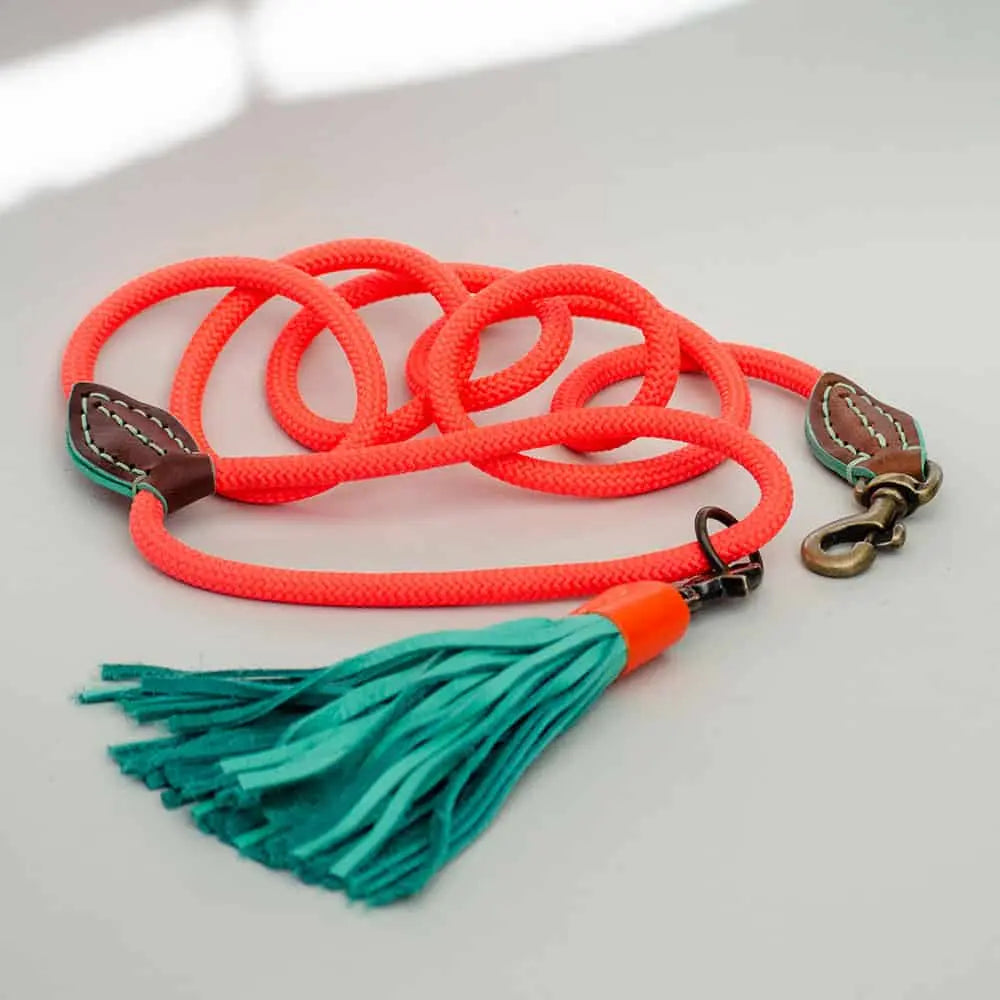 Die Führleine im Boho-Look "Lounge" von Dog with a Mission bringt gute Laune mit seinem leuchtend sommerlichen orange und den kräftig türkisen Fransen